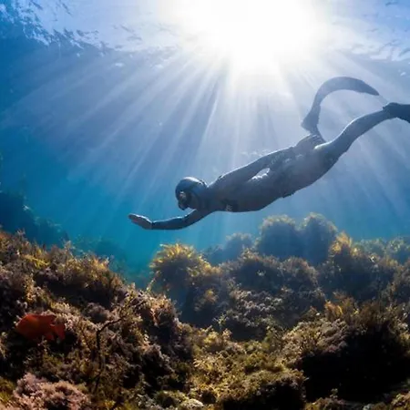 Almare Direct Access