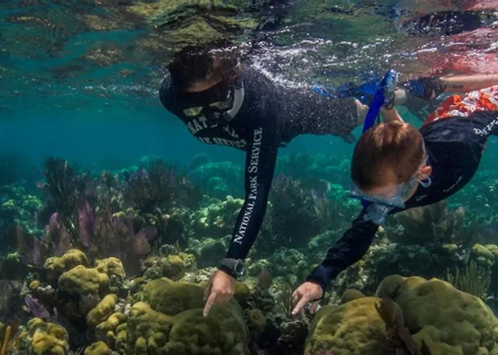 Almare Direct Access *