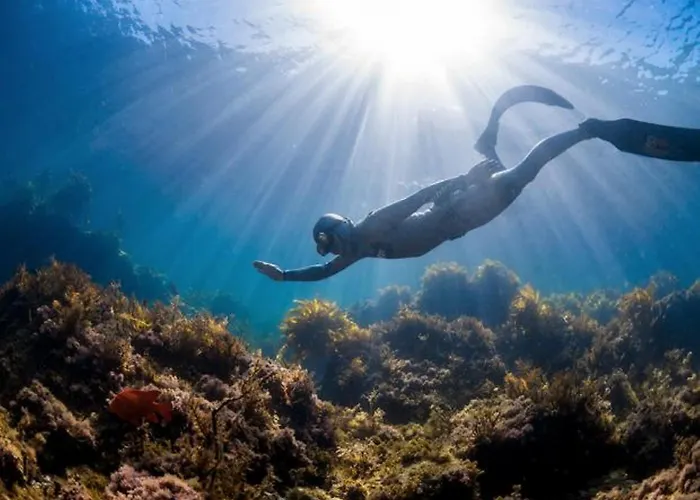 Almare Direct Access